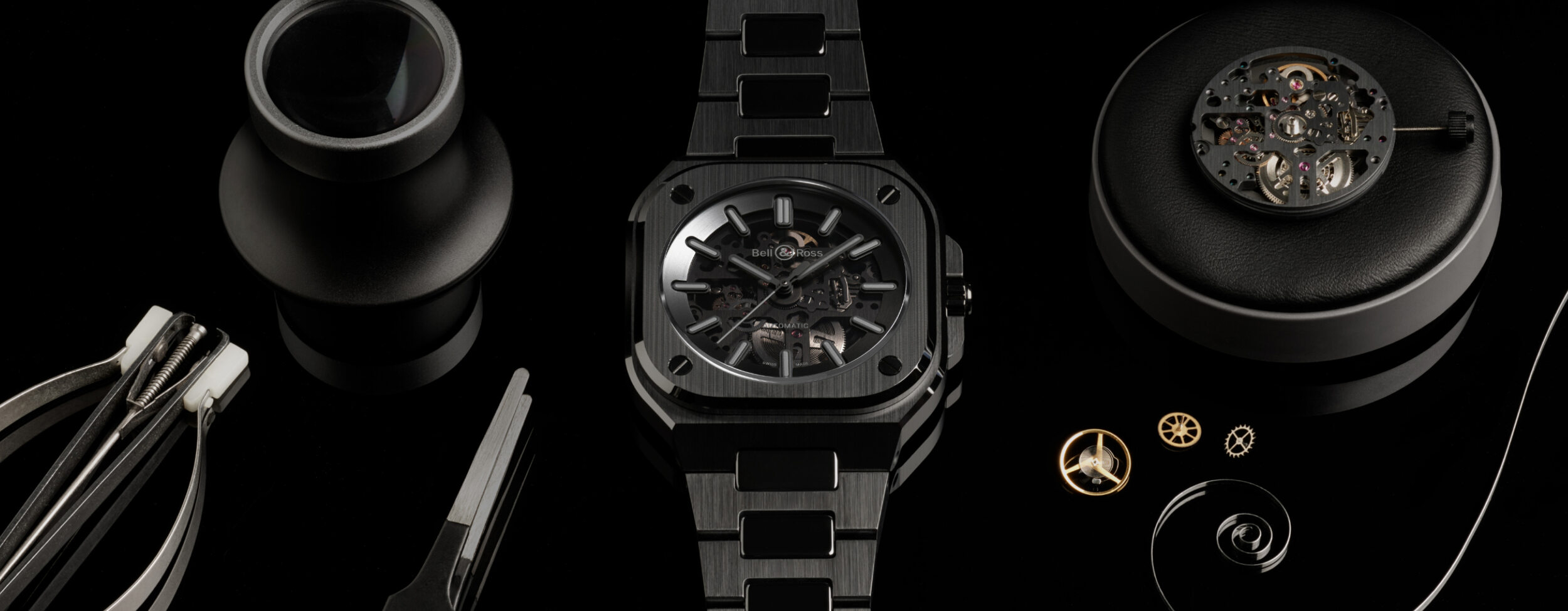 BR-05 Skeleton Phantom Ceramic