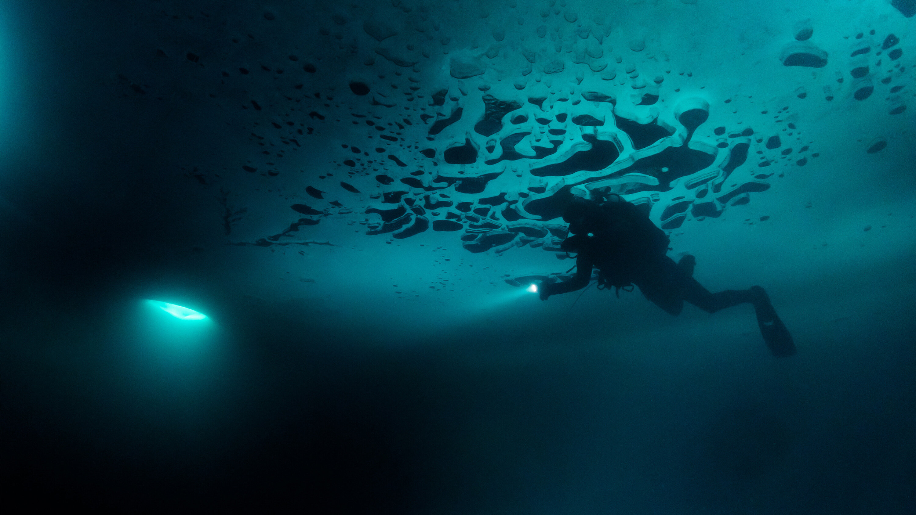 シロウ IPPOSBXD035.041500.jpg?v=